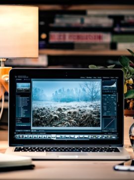 affordable web design | arcadia design arcadia design | quality web & graphic design
